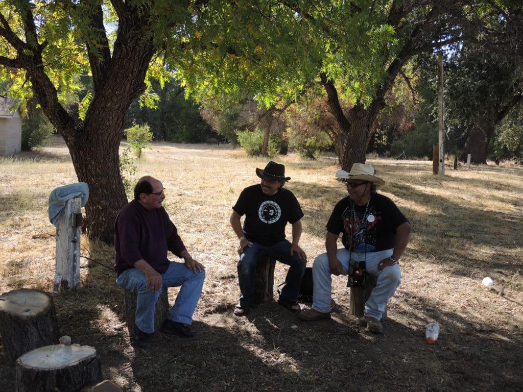 Three people sitting on the stumps under the tree